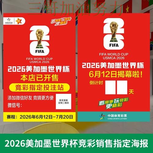 世界杯投注深度解析总结：是否值得用关键点解析（世界杯官方信息）